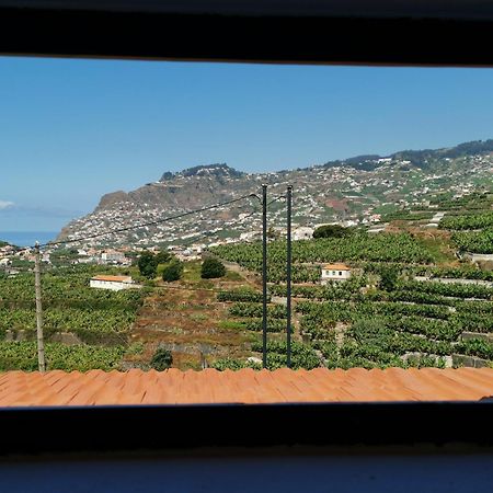 Villa Nova Madeira In Funchal Casa A And B Rom bilde