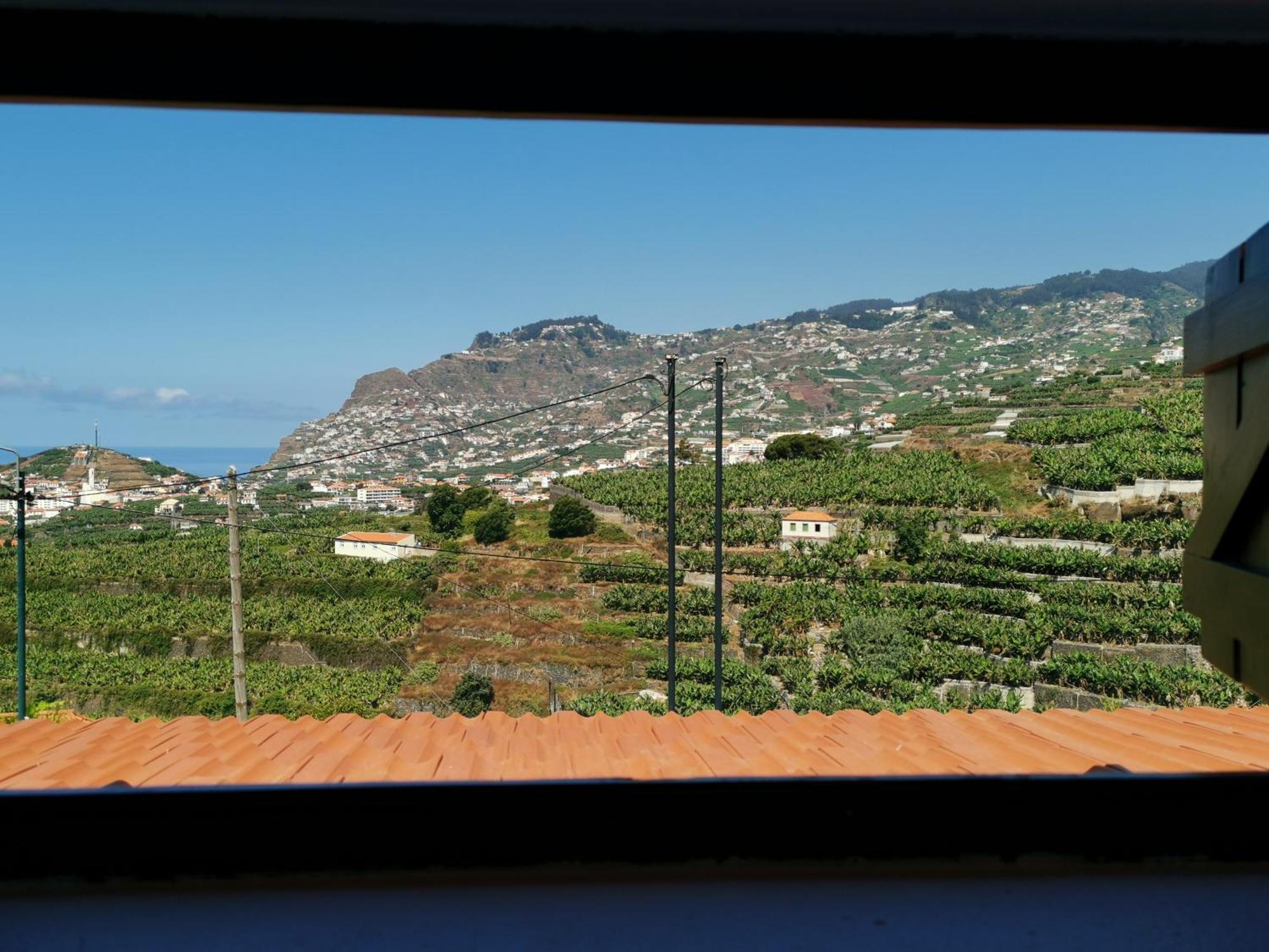 Villa Nova Madeira In Funchal Casa A And B Rom bilde